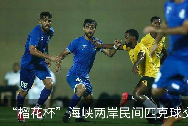 “榴花杯”海峡两岸民间匹克球交流赛在云南省玉溪开赛