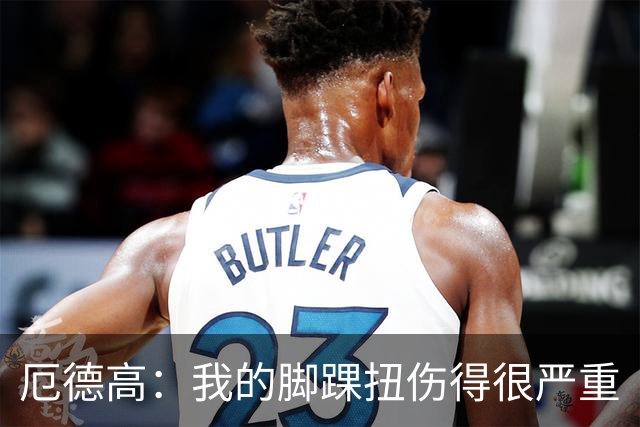 厄德高：我的脚踝扭伤得很严重